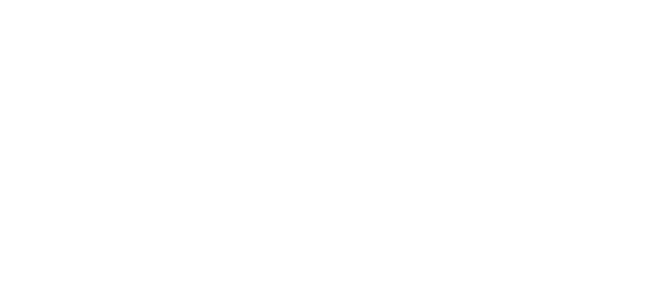 Connected Consumer Series