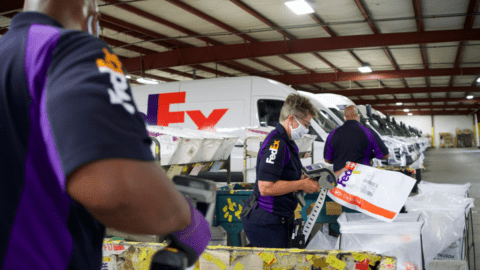 Workers in a FedEx fulfillment center sort packages.